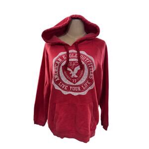 "AMERICAN EAGLE" Women's LG 2014 American Eagle Hooded Sweatshirt Preppy Grunge